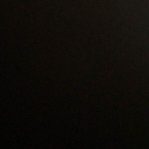 Meet your Posher, Lily